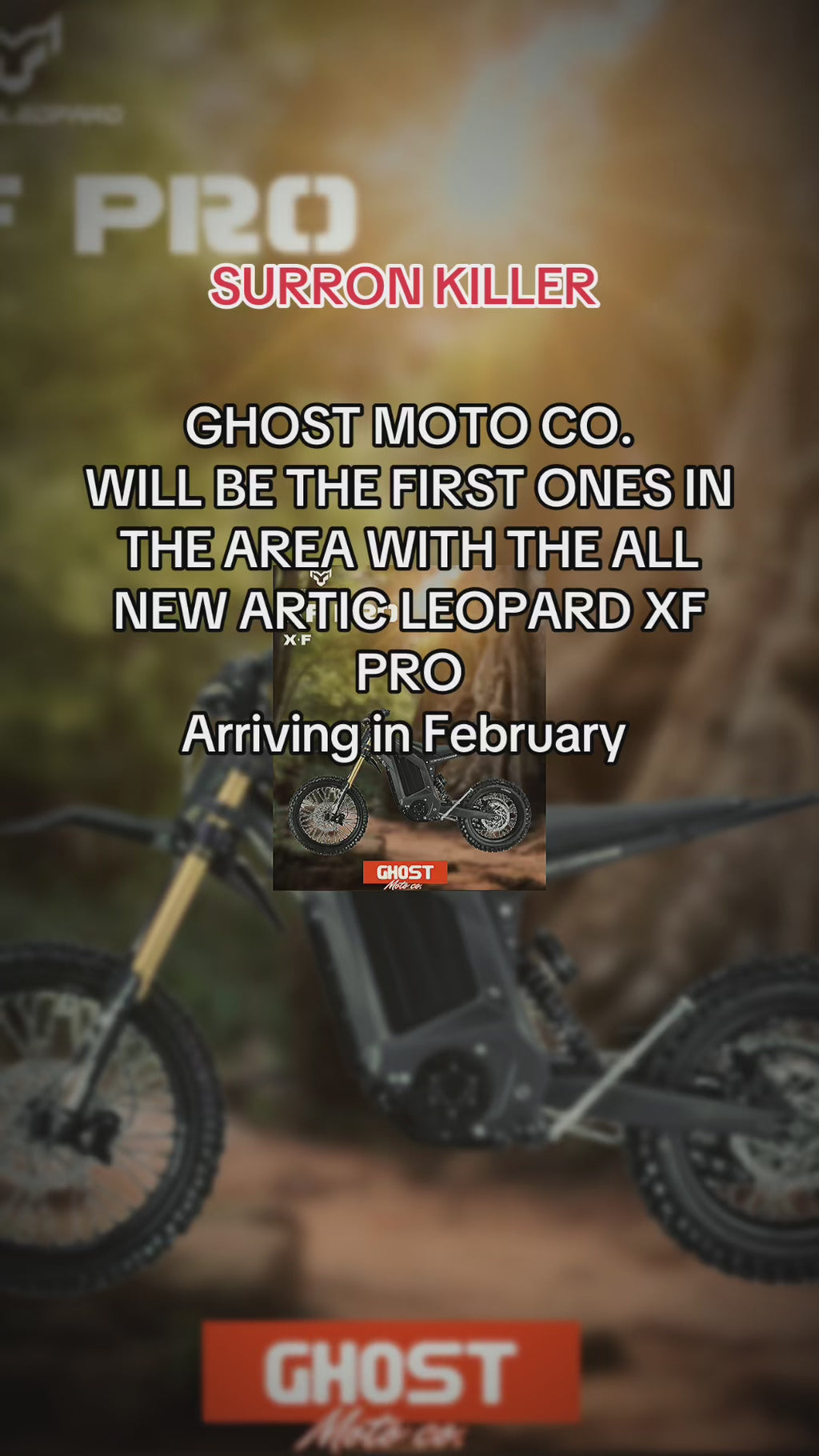 Artic Leopard XF Pro